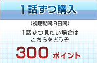 �P�b���w���@300�|�C���g