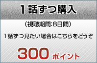 �P�b���w���@300�|�C���g