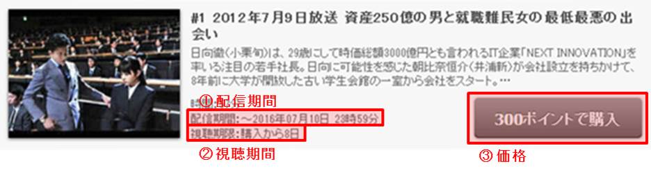 配信期間, 視聴期間、価格