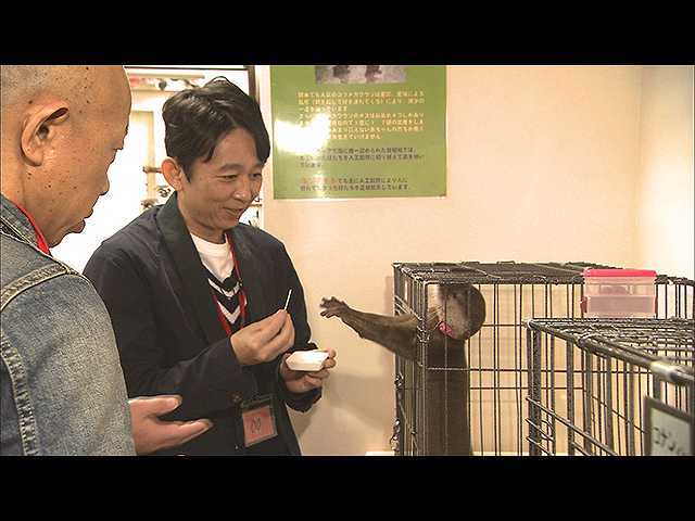 【無料】2018/6/16放送 有吉くんの正直さんぽ 池袋