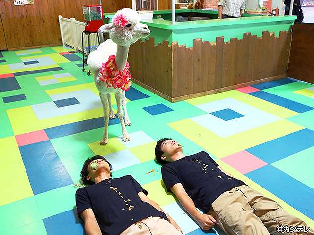 #344 2017/9/15放送 ジャルやるっ!