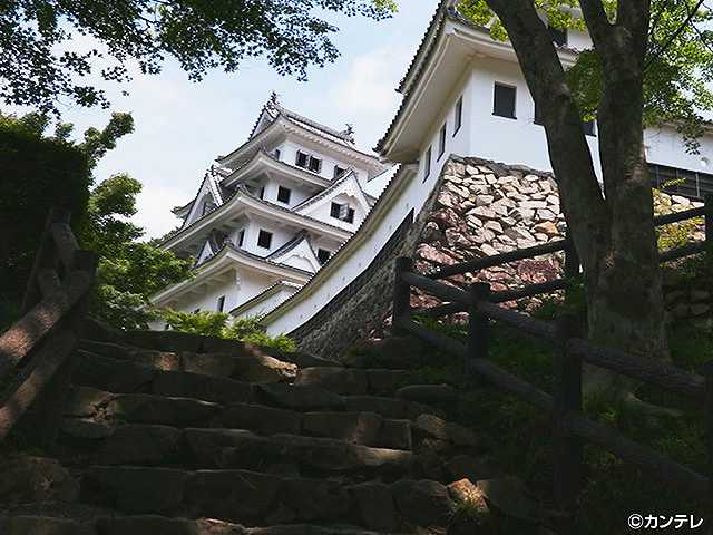 #67 2017/9/17放送 にっぽん城紀行 群上八幡城