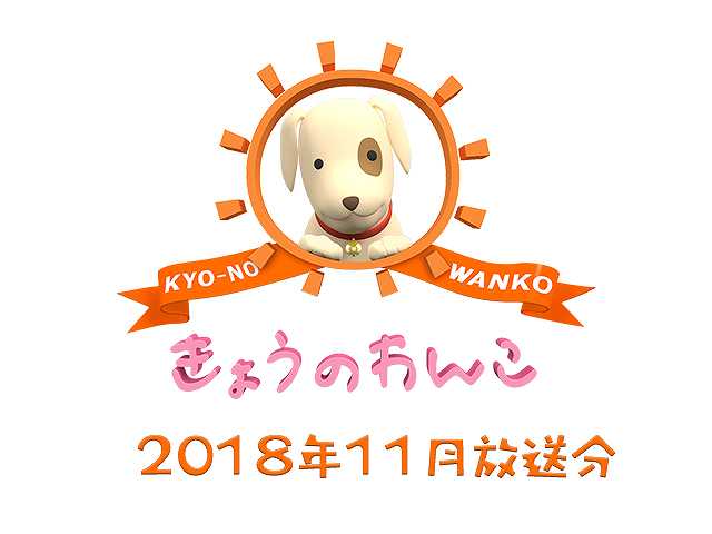 2018年11月放送分 きょうのわんこ