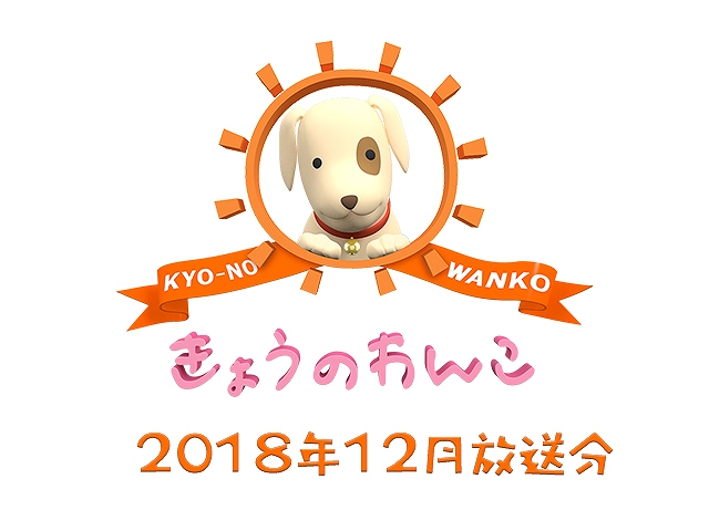 2018年12月放送分 きょうのわんこ