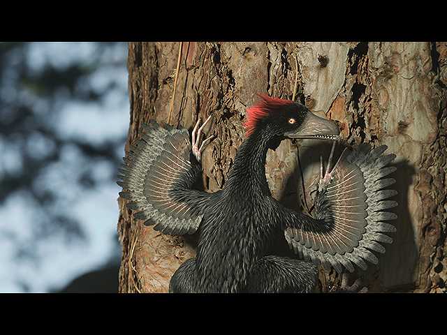 鳥は恐竜の子孫なのか