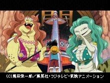 #413 ルフィ大苦戦!ヘビ姉妹の覇気の力!!