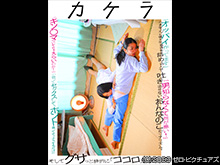 カケラ