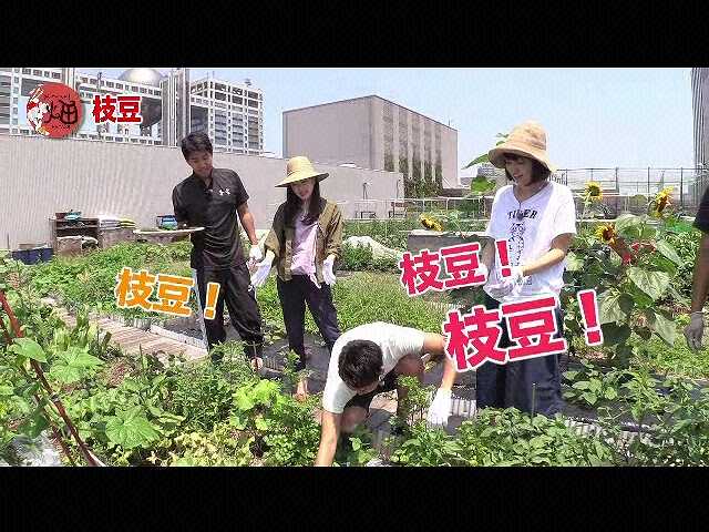 #4 「夏野菜でカレーを作ろう!」