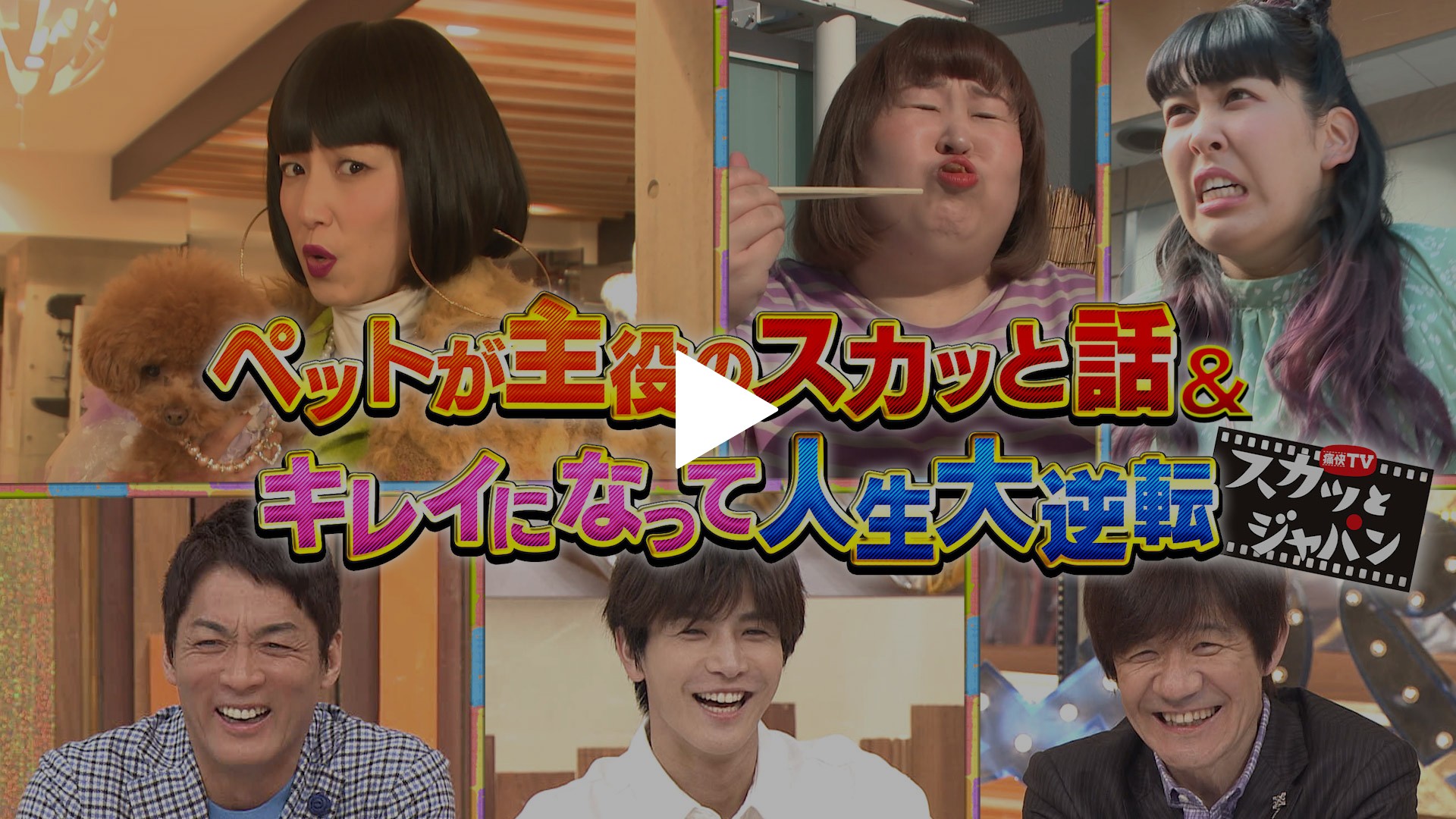 ペットが主役スカッと実話 キレイになって逆転 フジテレビの人気ドラマ アニメ Tv番組の動画が見放題 Fod