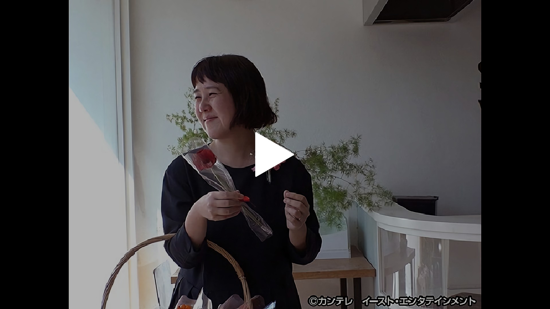 セブンルール-第96回 人気保育園園長！大自然の中で子どものやりたいを最優先