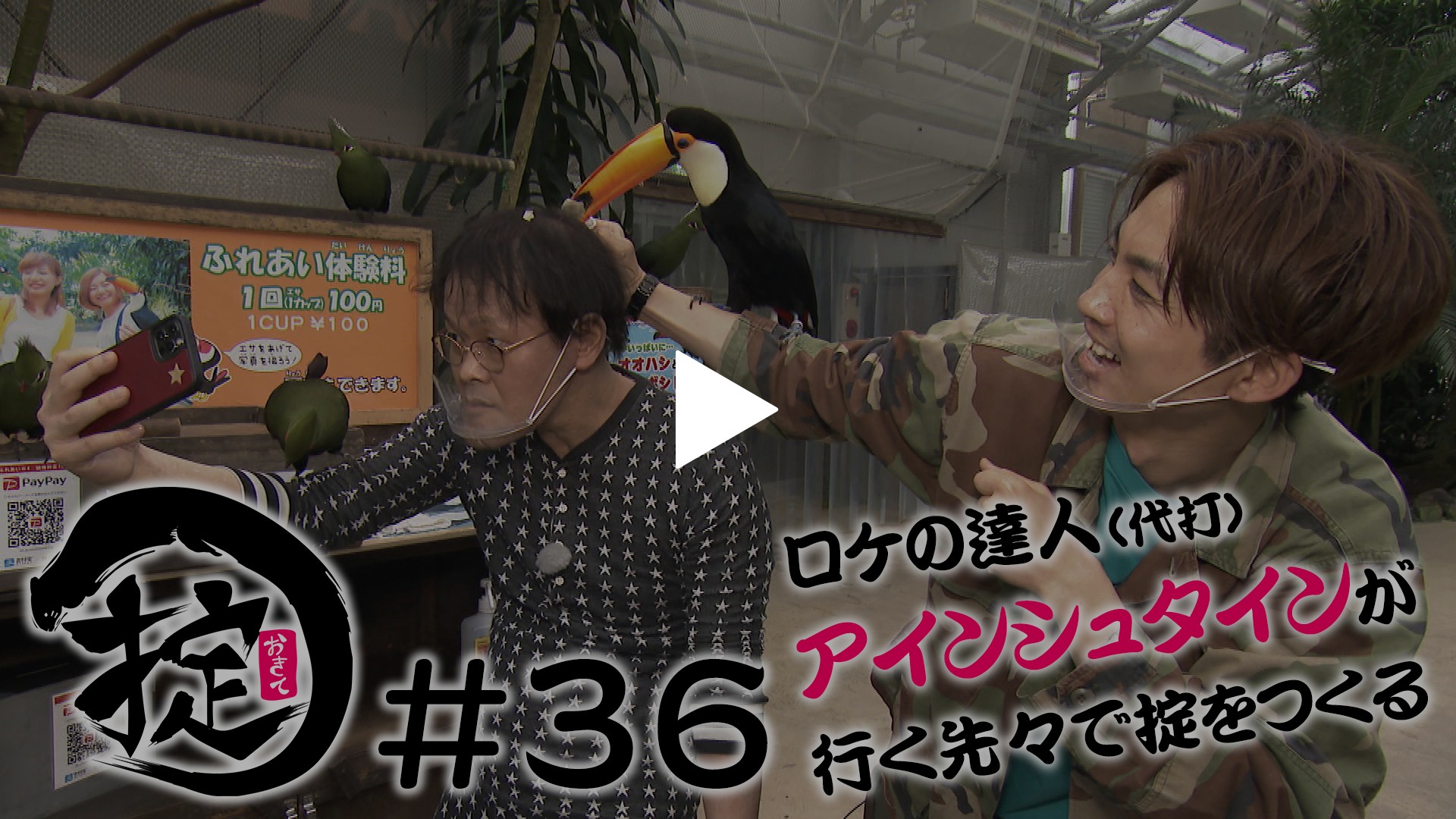36 アインシュタインの掟 島根編 鳥さんと遊ぼう フジテレビの人気ドラマ アニメ Tv番組の動画が見放題 Fod