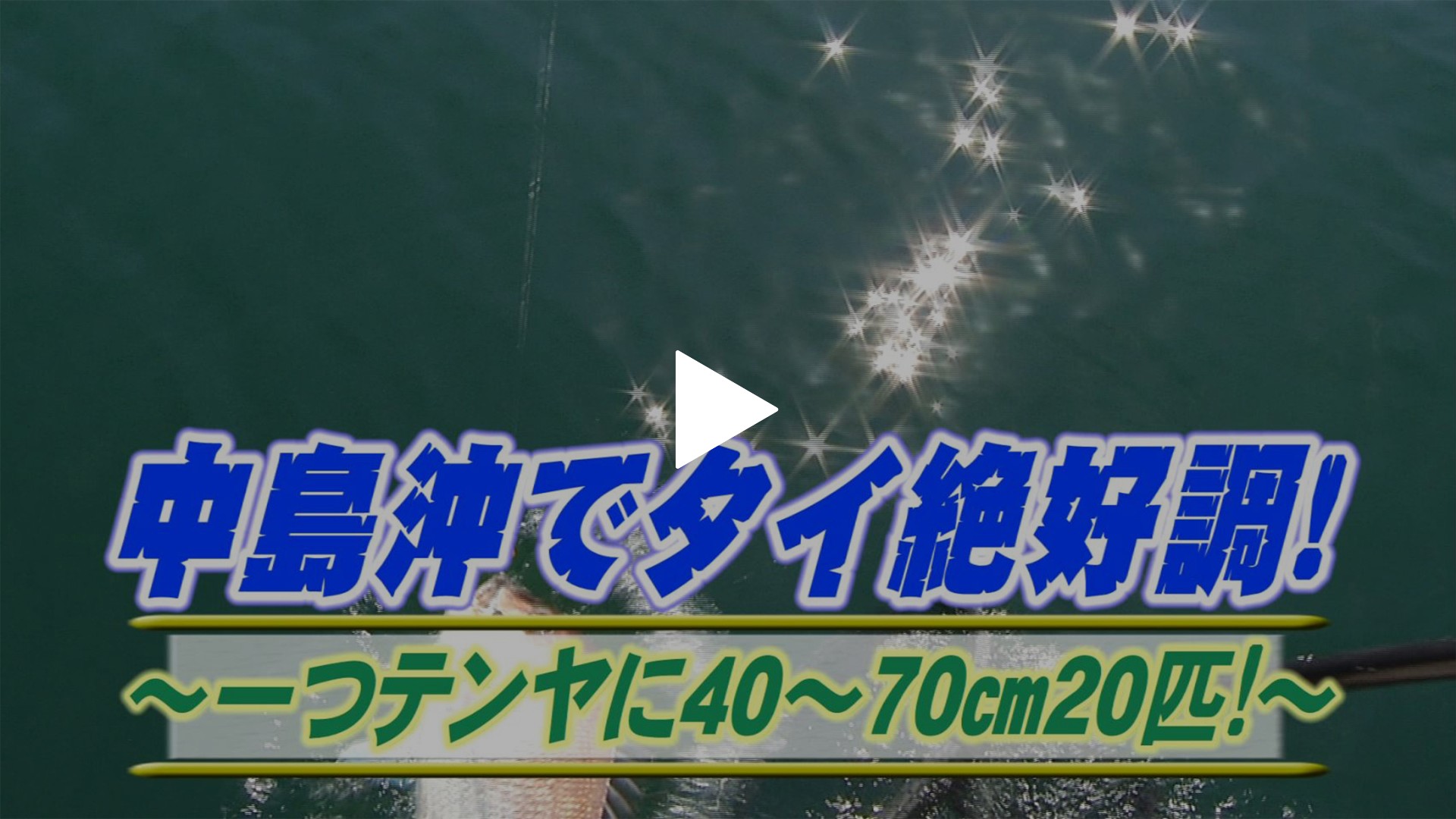 中島で鯛絶好調 一つテンヤ70cm匹 フジテレビの人気ドラマ アニメ Tv番組の動画が見放題 Fod