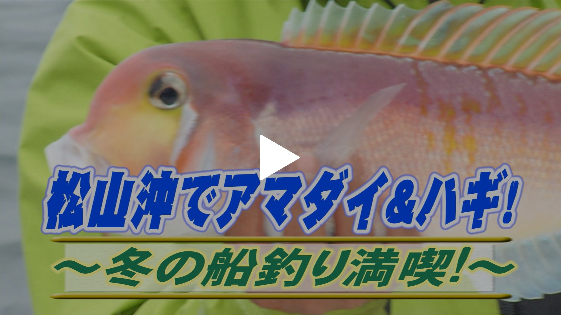 松山沖でアマダイ ハギ 冬の船釣り満喫 フジテレビの人気ドラマ アニメ Tv番組の動画が見放題 Fod