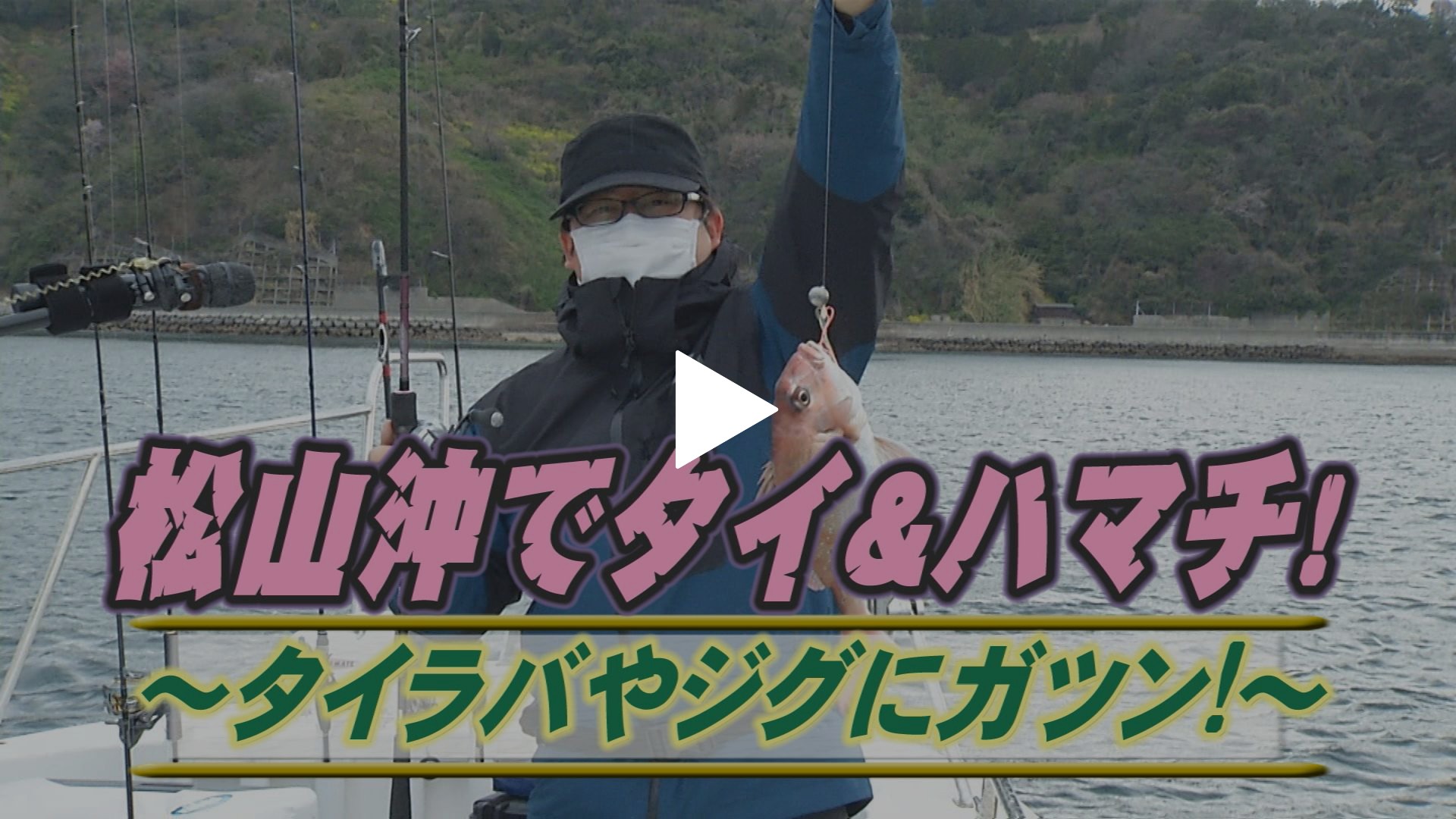 松山沖タイ ハマチ タイラバやジグにガツン フジテレビの人気ドラマ アニメ Tv番組の動画が見放題 Fod