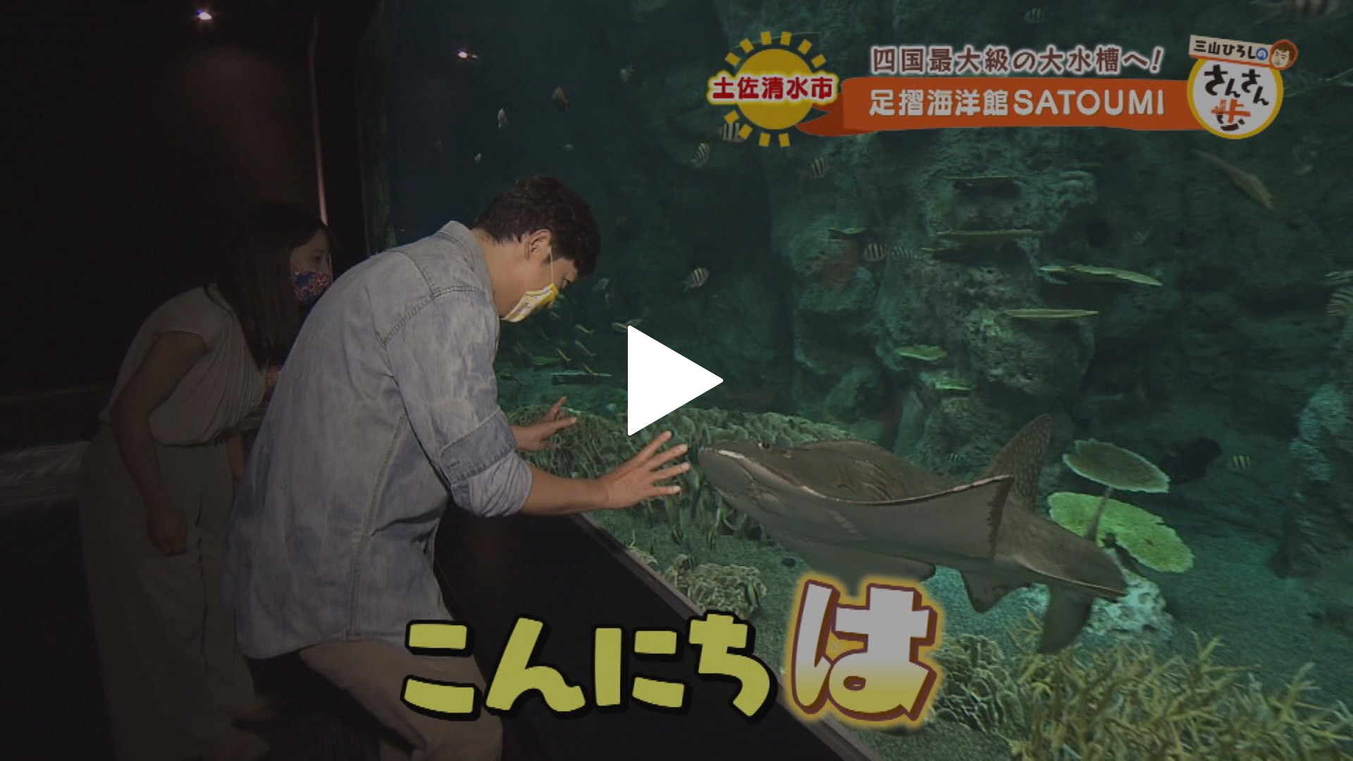 四国最南端の水族館 以布利にジンベエザメ フジテレビの人気ドラマ アニメ Tv番組の動画が見放題 Fod