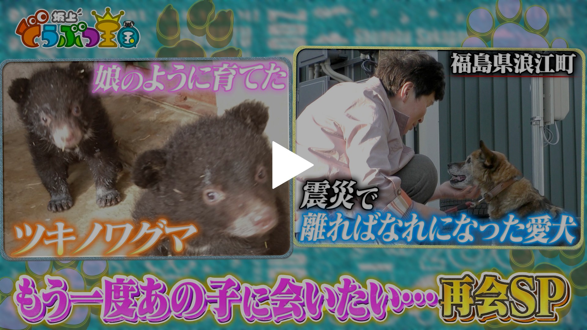 もう一度あの子に会いたい 奇跡の再会sp フジテレビの人気ドラマ アニメ Tv番組の動画が見放題 Fod