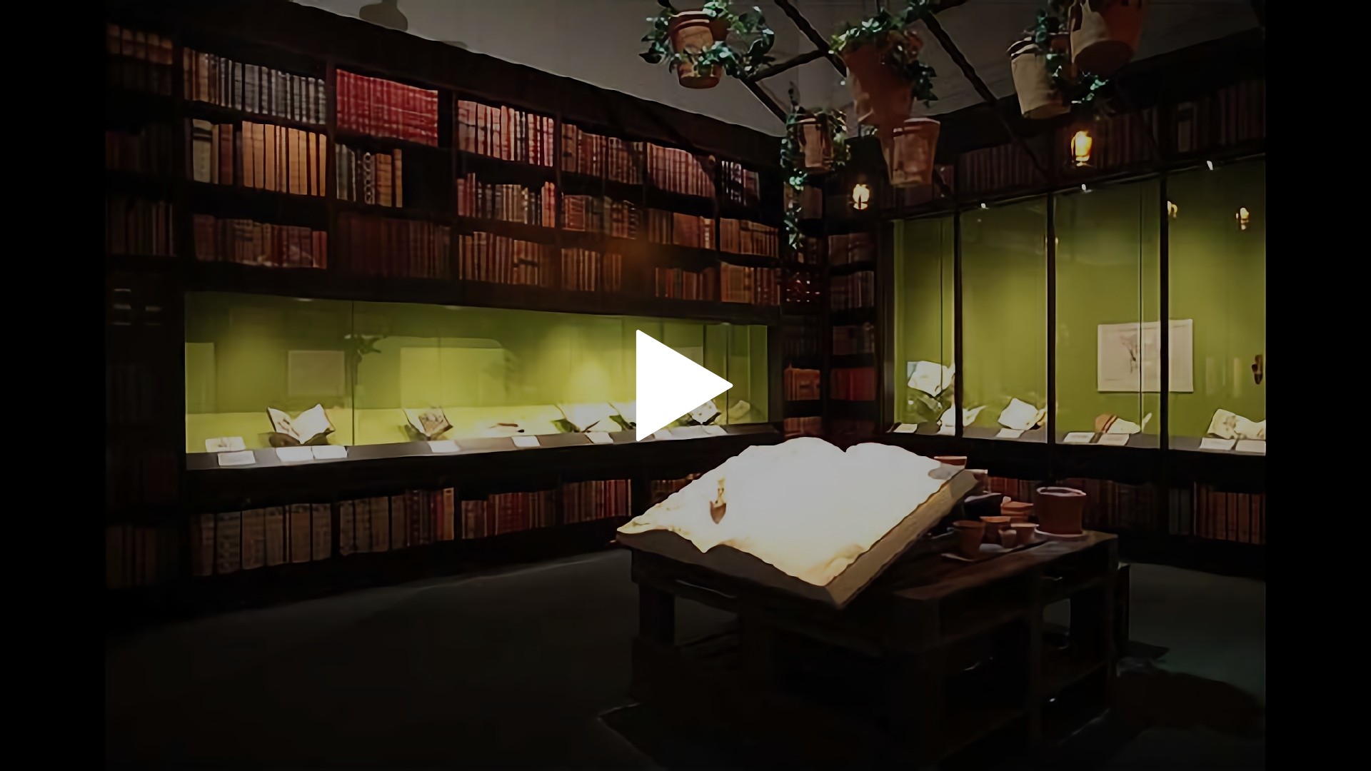 字幕版 ハリー ポッターと魔法の世界 フジテレビの人気ドラマ アニメ Tv番組の動画が見放題 Fod