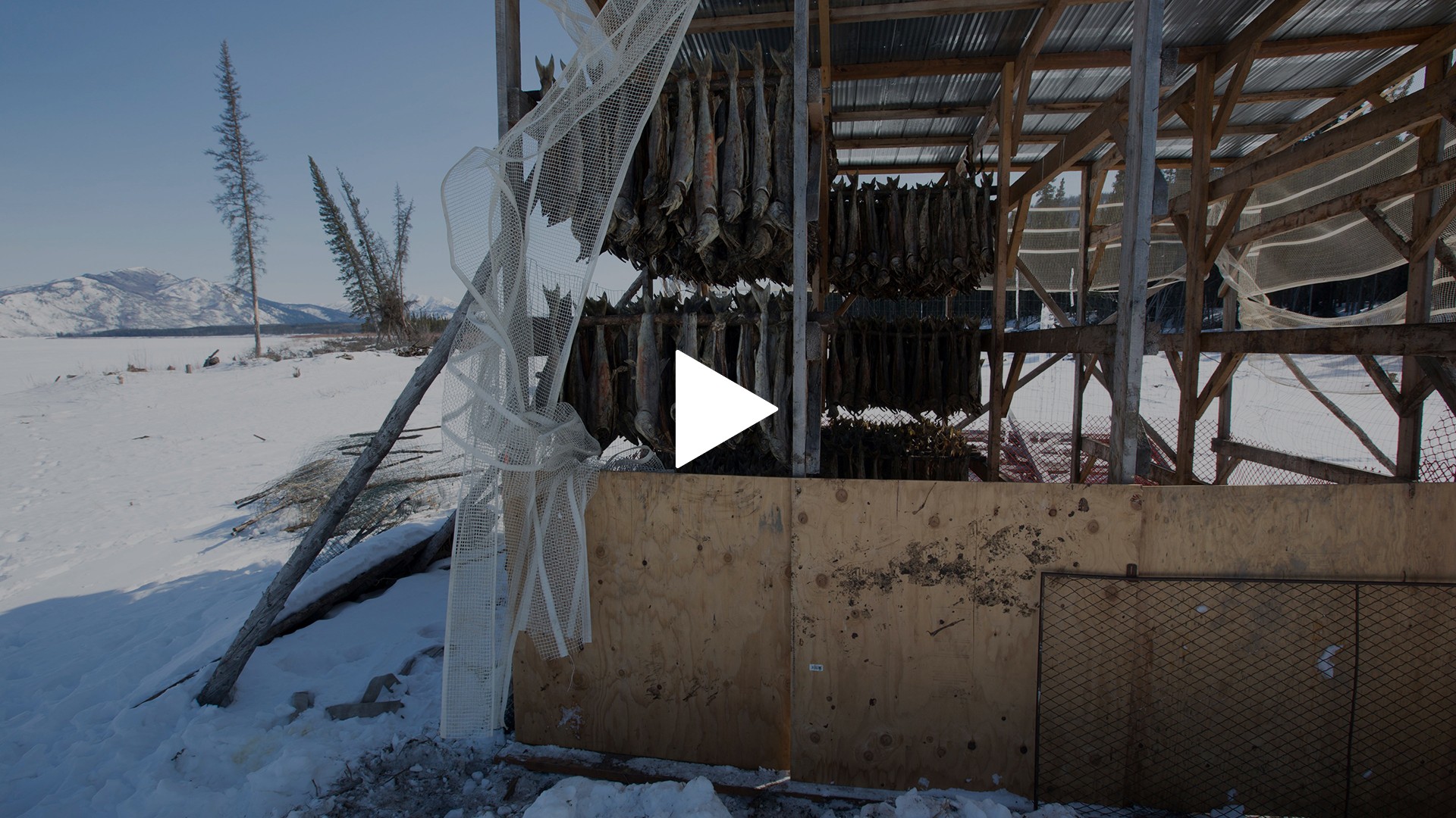 第9回 字幕版 だまし合い フジテレビの人気ドラマ アニメ Tv番組の動画が見放題 Fod