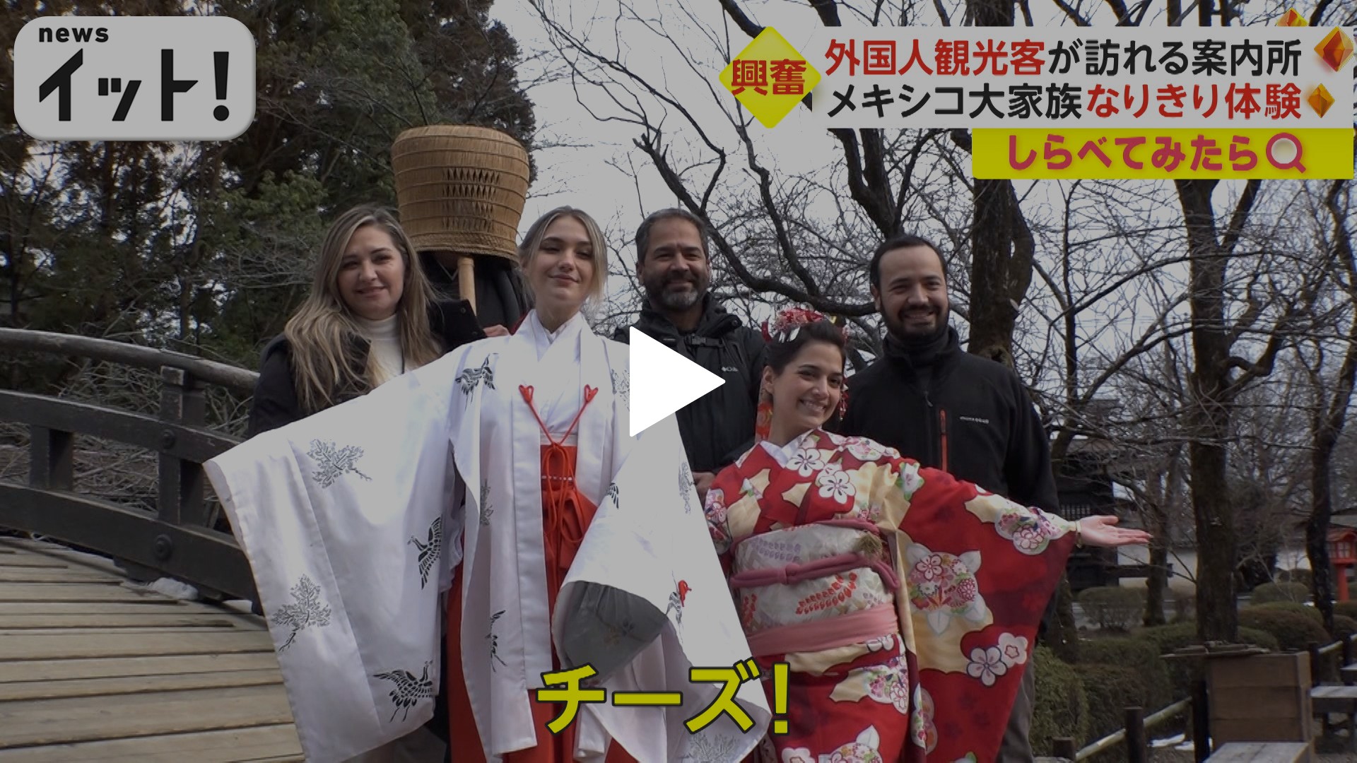 生き た メキシコ 動画
