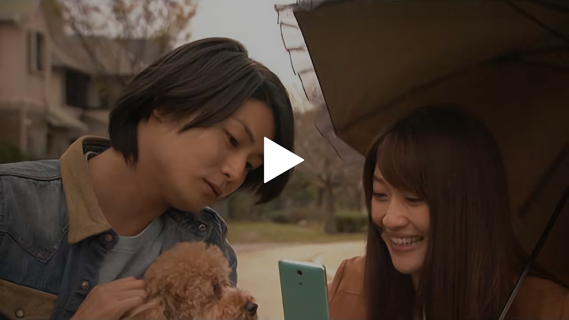 福岡恋愛白書9 月と太陽を見上げて フジテレビの人気ドラマ アニメ Tv番組の動画が見放題 Fod