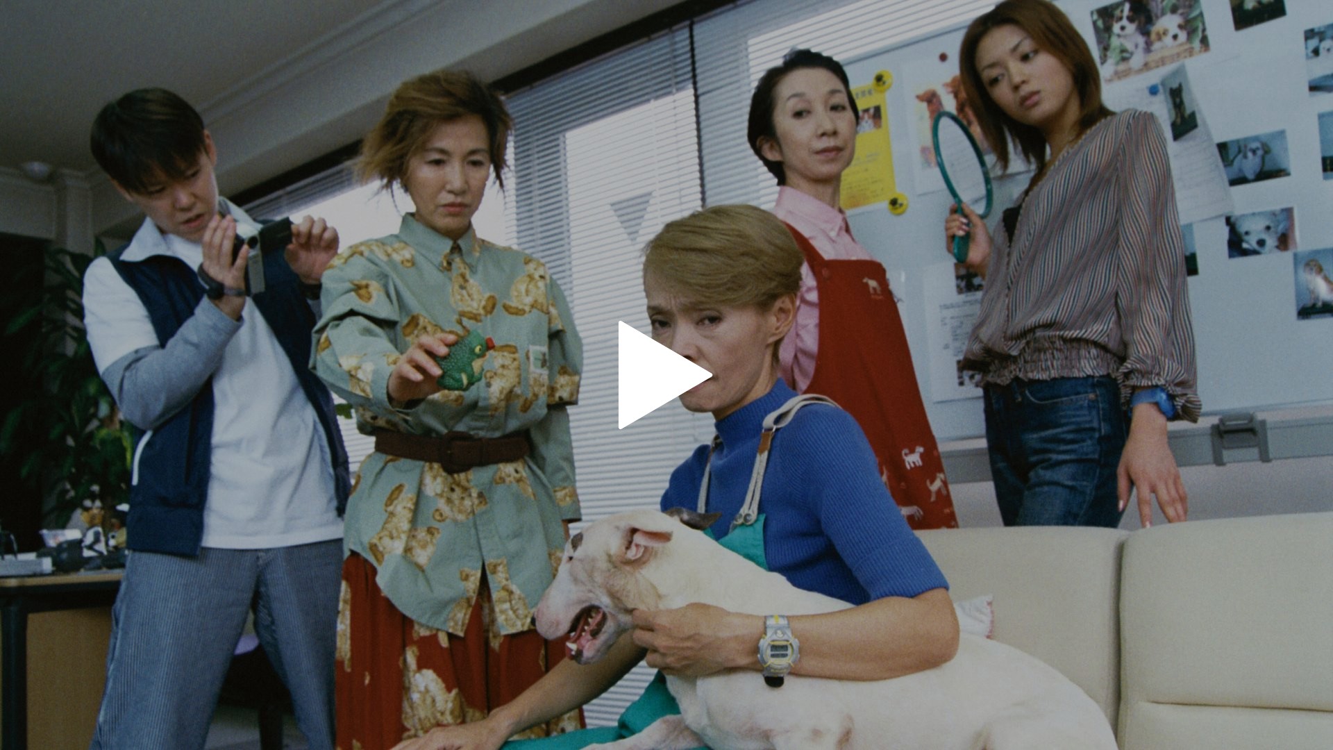 第1話 ペットシッター 沢口華子の事件簿1 後追い自殺するレトリーバー 