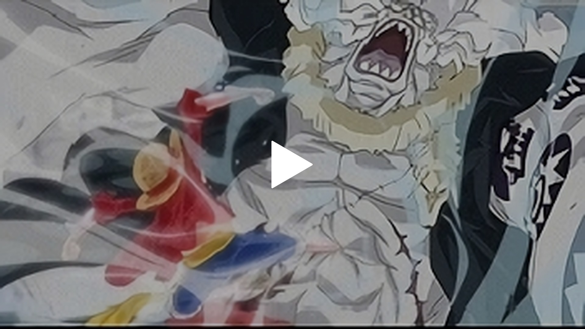 553 しらほしの涙 ルフィ遂に登場 フジテレビの人気ドラマ アニメ Tv番組の動画が見放題 Fod