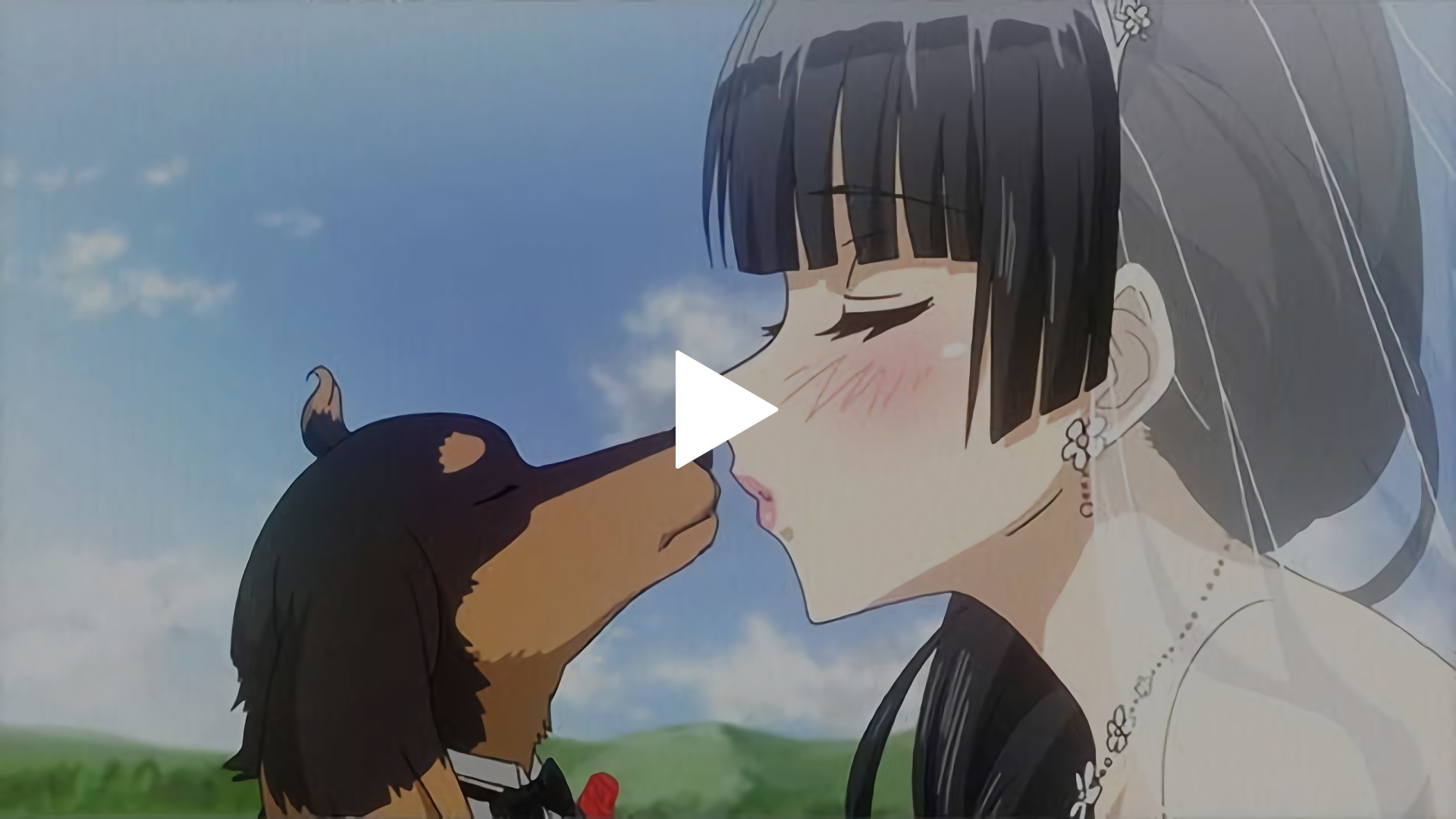 12 犬とハサミは使いよう フジテレビの人気ドラマ アニメ Tv番組の動画が見放題 Fod