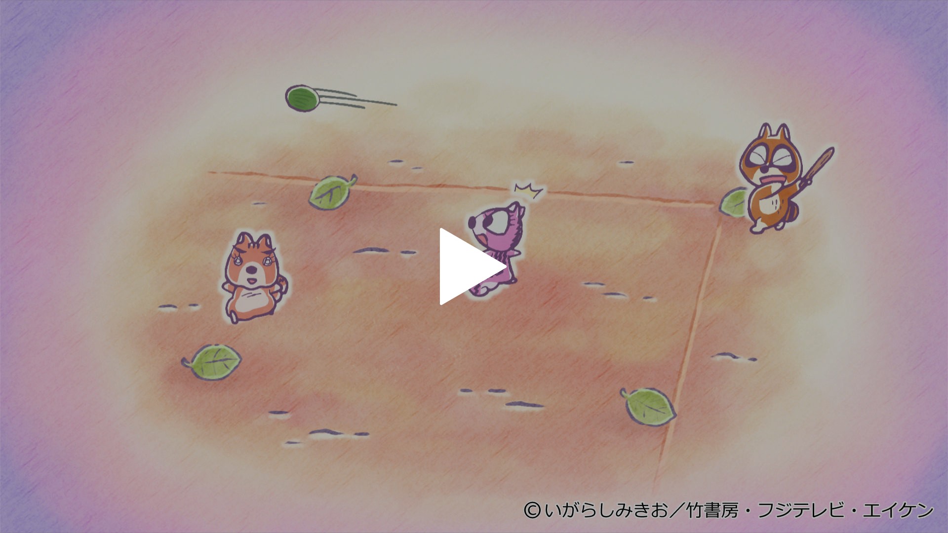 273 ぼのちゃん タマあそびをしよう フジテレビの人気ドラマ アニメ Tv番組の動画が見放題 Fod