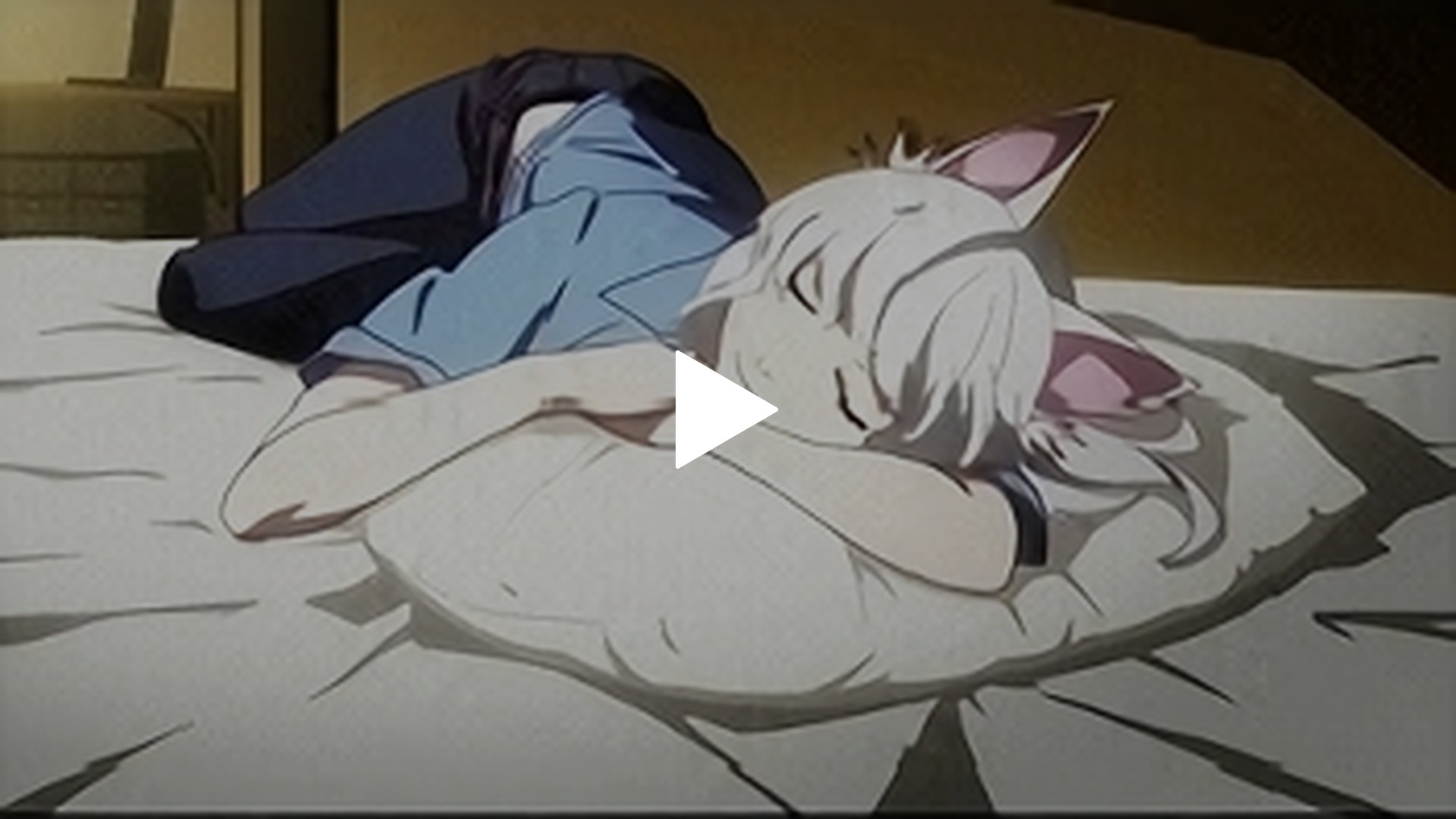 貓物語 gif 猫物語(白) 第懇話『つばさタイガー 其ノ伍』｜フジテレビの人気ドラマ・アニメ・TV番組の動画が見放題＜FOD＞