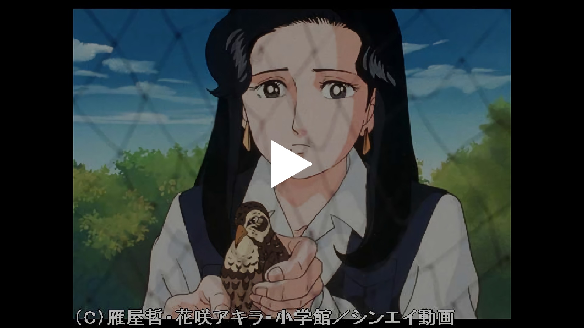 禁断の鳥 フジテレビの人気ドラマ アニメ Tv番組の動画が見放題 Fod