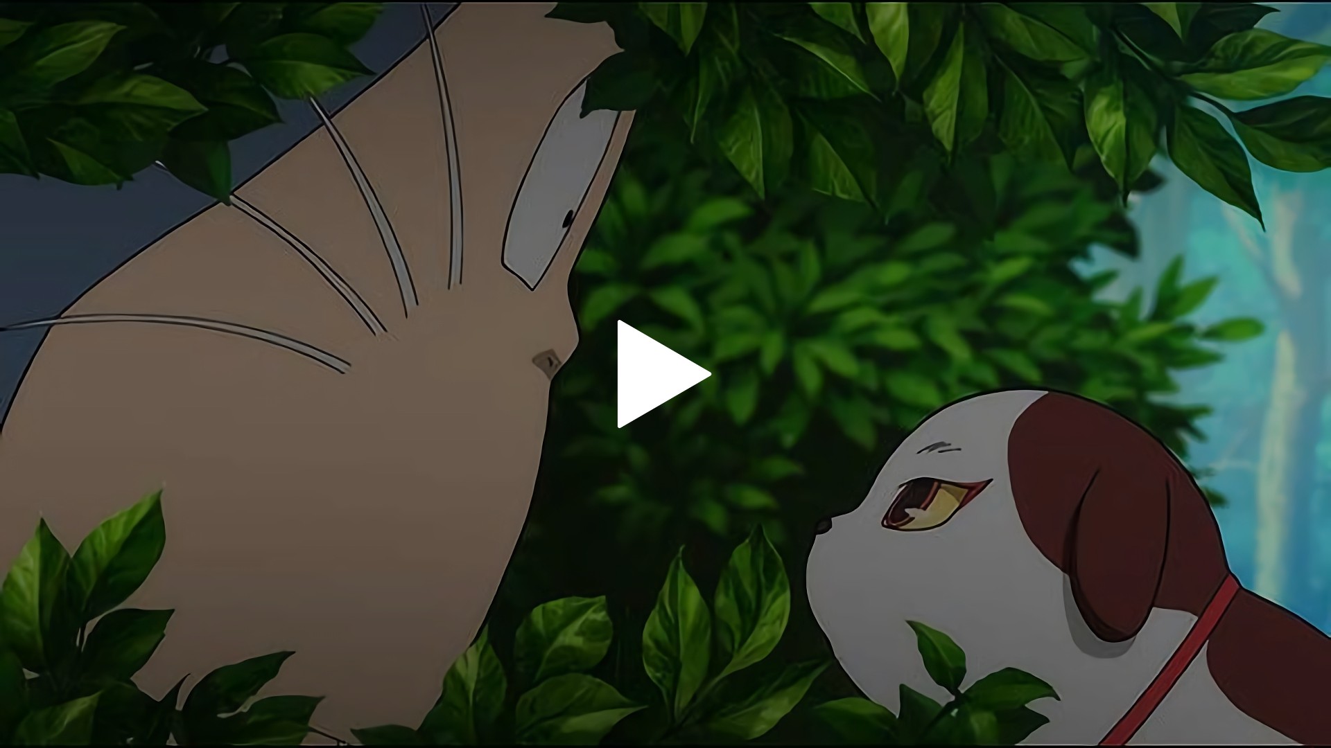 第6話 厄運のすねこすり フジテレビの人気ドラマ アニメ Tv番組の動画が見放題 Fod