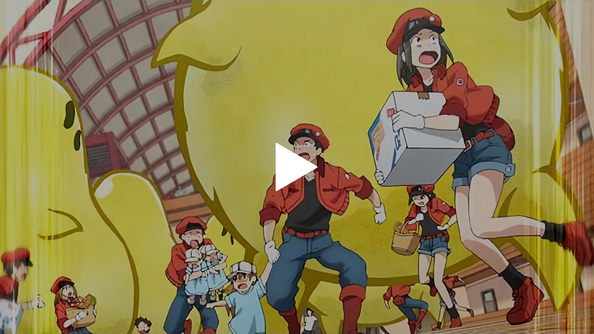 05 スギ花粉アレルギー フジテレビの人気ドラマ アニメ Tv番組の動画が見放題 Fod