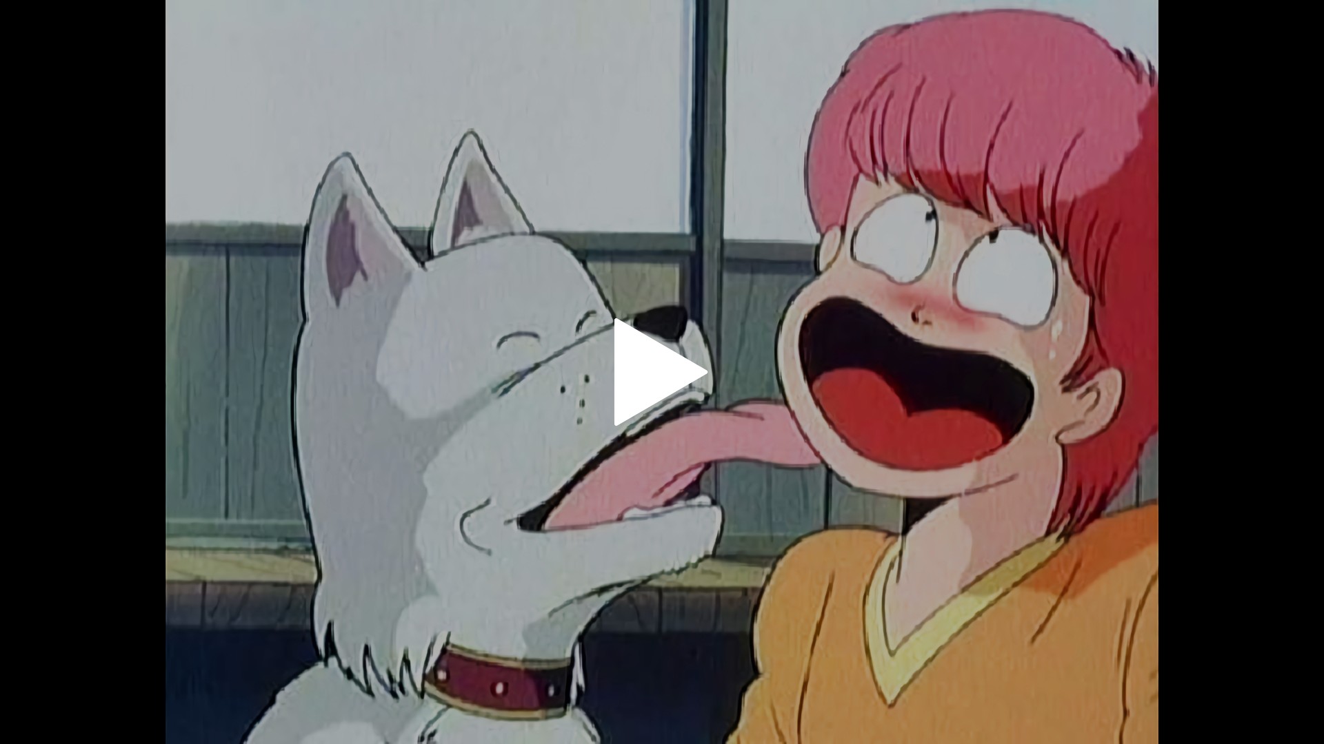 第22話 忠犬ラッシー物語 物星大 春なのにオカマですか フジテレビの人気ドラマ アニメ Tv番組の動画が見放題 Fod