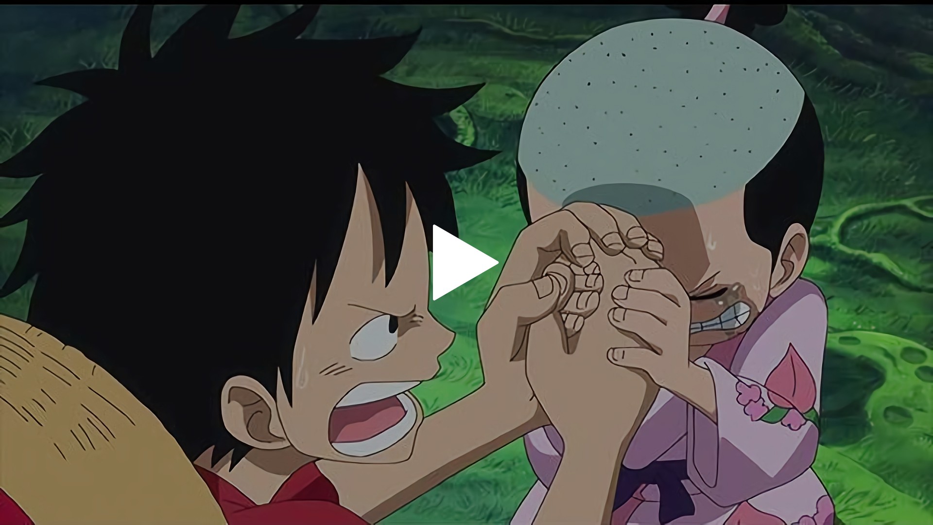 771 男の誓い ルフィと光月モモの助 フジテレビの人気ドラマ アニメ Tv番組の動画が見放題 Fod