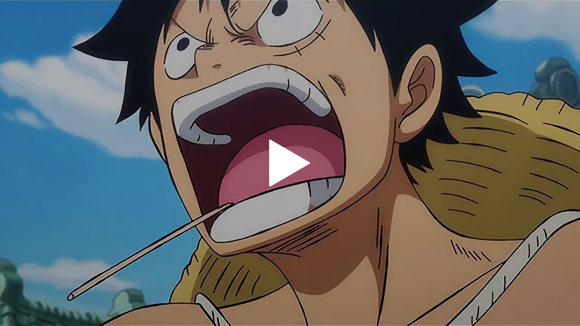 904 ルフィ激怒 ピンチのお玉を救え フジテレビの人気ドラマ アニメ Tv番組の動画が見放題 Fod