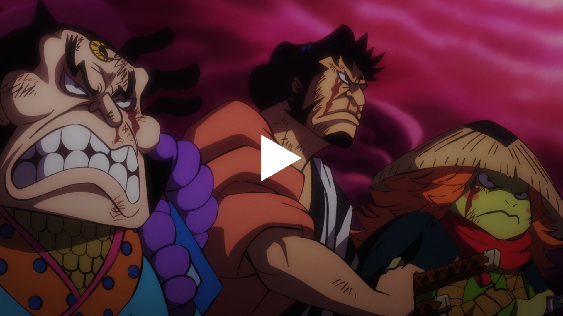 1003 悲壮の刃 赤鞘vsカイドウ再び フジテレビの人気ドラマ アニメ Tv番組の動画が見放題 Fod