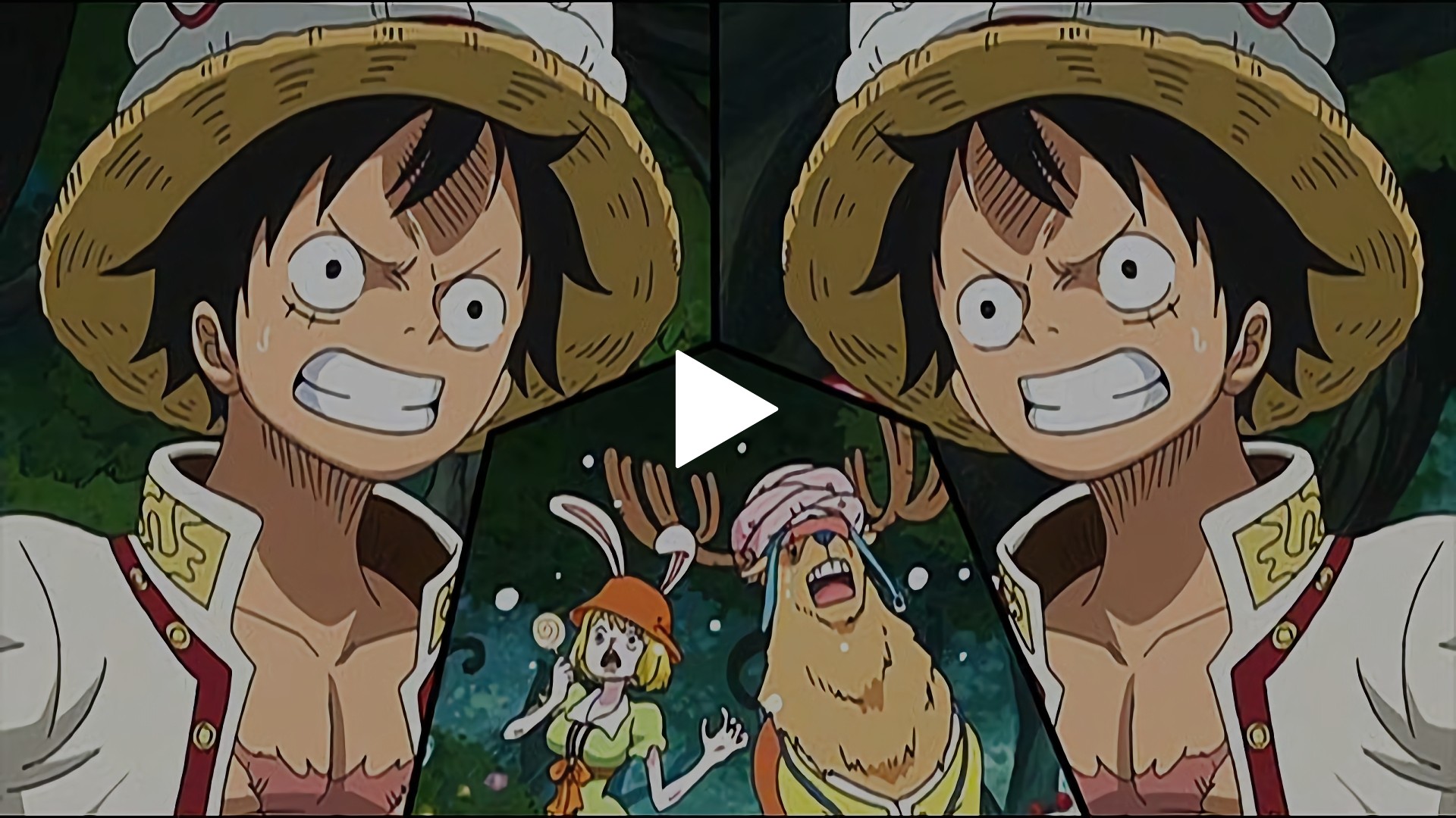 第791話 お菓子な森 ルフィVSルフィ！？｜フジテレビの人気ドラマ 