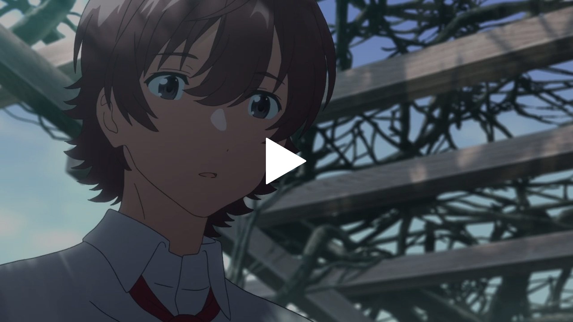 第6話 金色のサカナ フジテレビの人気ドラマ アニメ Tv番組の動画が見放題 Fod