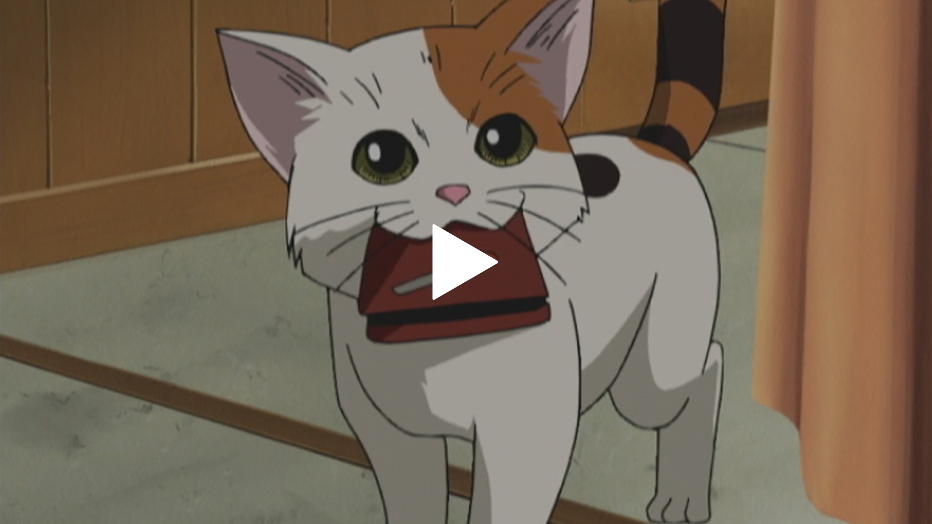 第7話 小さな相棒 Little Will フジテレビの人気ドラマ アニメ Tv番組の動画が見放題 Fod