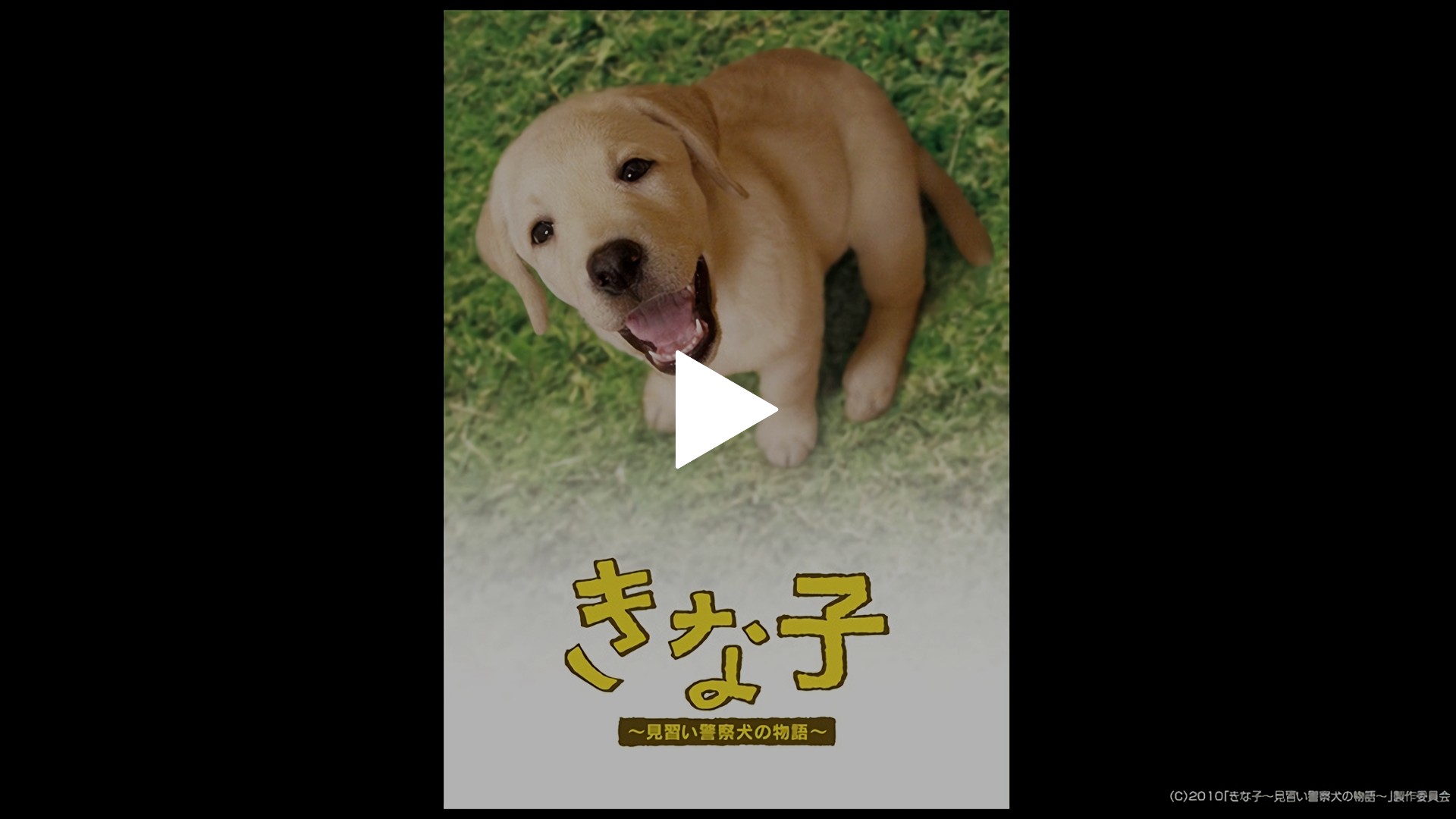 きな子 見習い警察犬の物語 フジテレビの人気ドラマ アニメ Tv番組の動画が見放題 Fod