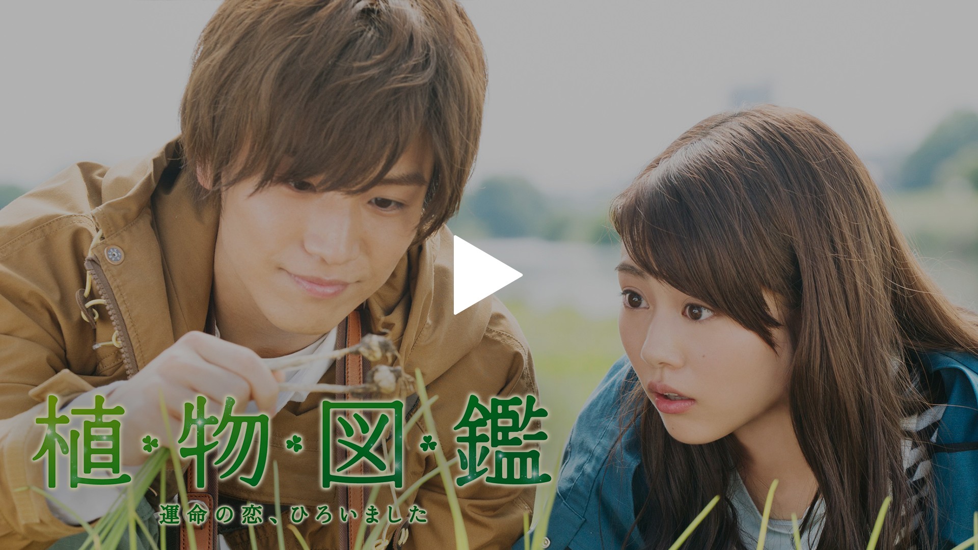植物図鑑 運命の恋 ひろいました フジテレビの人気ドラマ アニメ Tv番組の動画が見放題 Fod