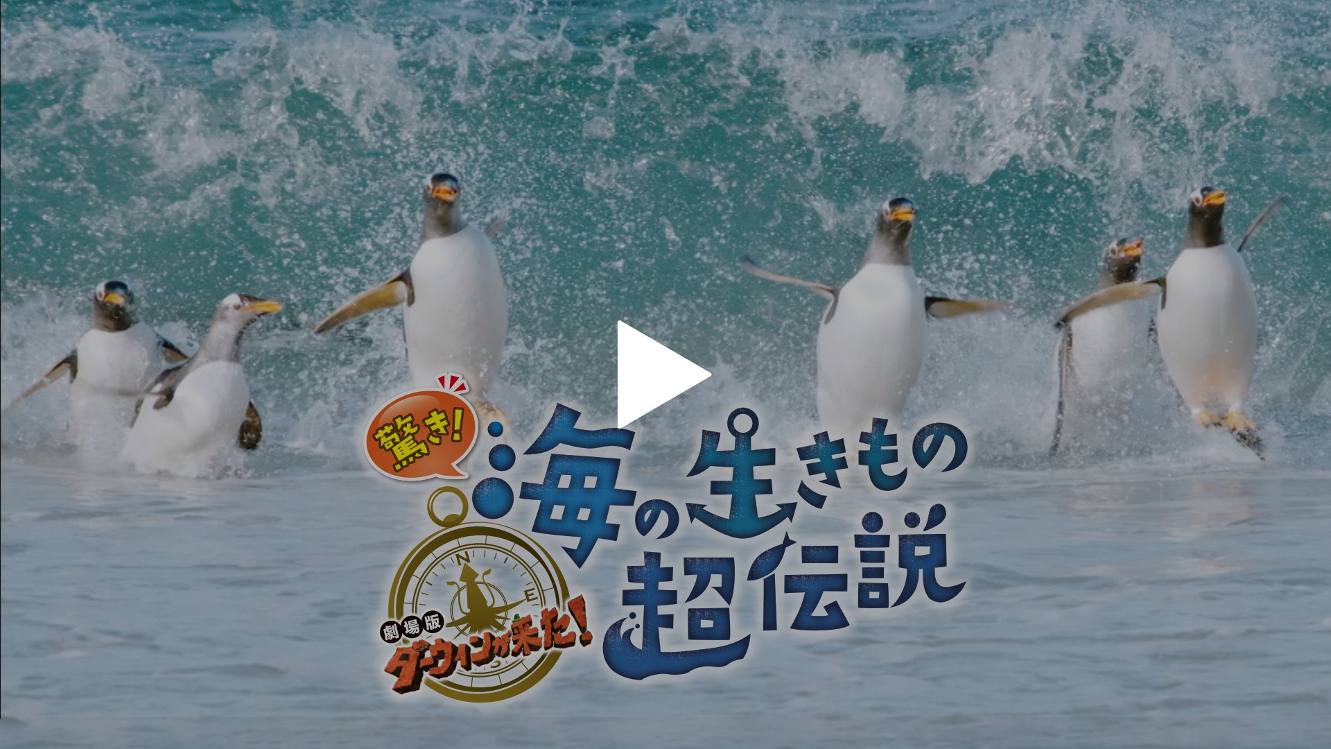驚き！海の生きもの超伝説 劇場版ダーウィンが来た！｜フジテレビの人気ドラマ・アニメ・TV番組の動画が見放題＜FOD＞