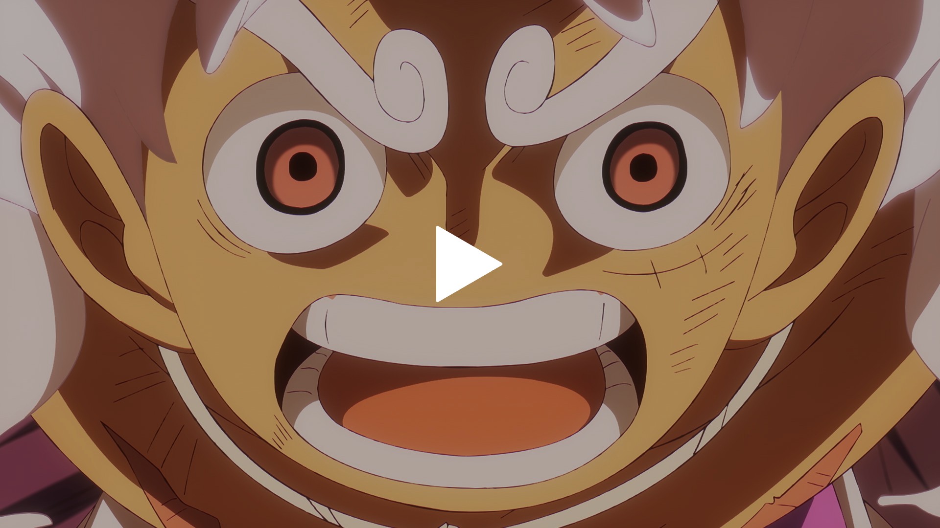 第1145話 友達との共闘！ルフィとエルバフの戦士｜フジテレビの人気 