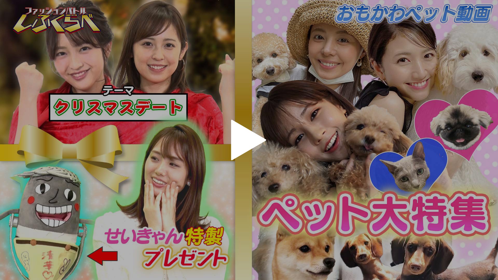 第34回 アナウンサーのおもかわペット動画 クリスマスデートコーデ21対決 フジテレビの人気ドラマ アニメ Tv番組の動画が見放題 Fod