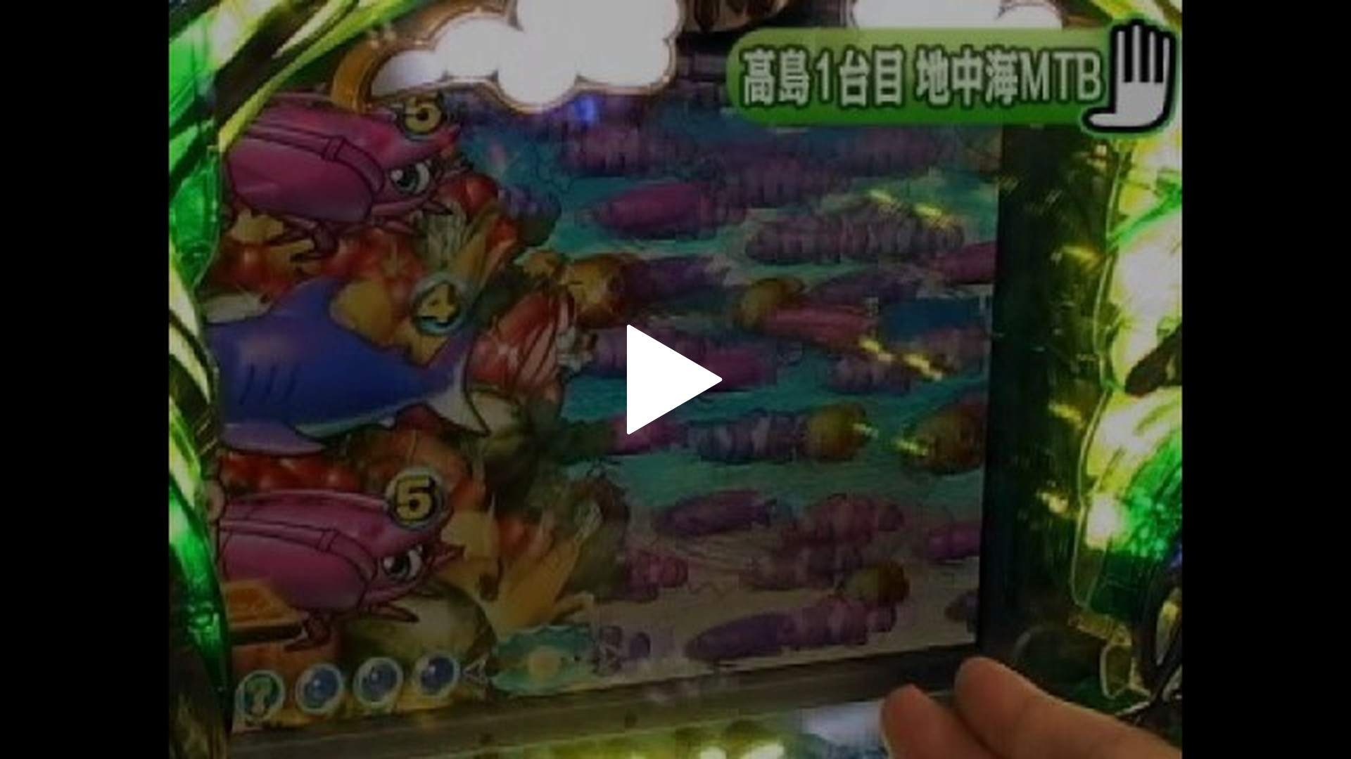 5 CRスーパー海物語IN地中海MTB｜フジテレビの人気ドラマ・アニメ・TV 