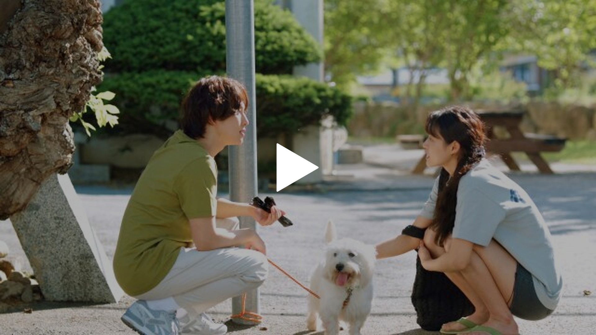 字幕版）第12話｜フジテレビの人気ドラマ・アニメ・TV番組の動画が見放題＜FOD＞