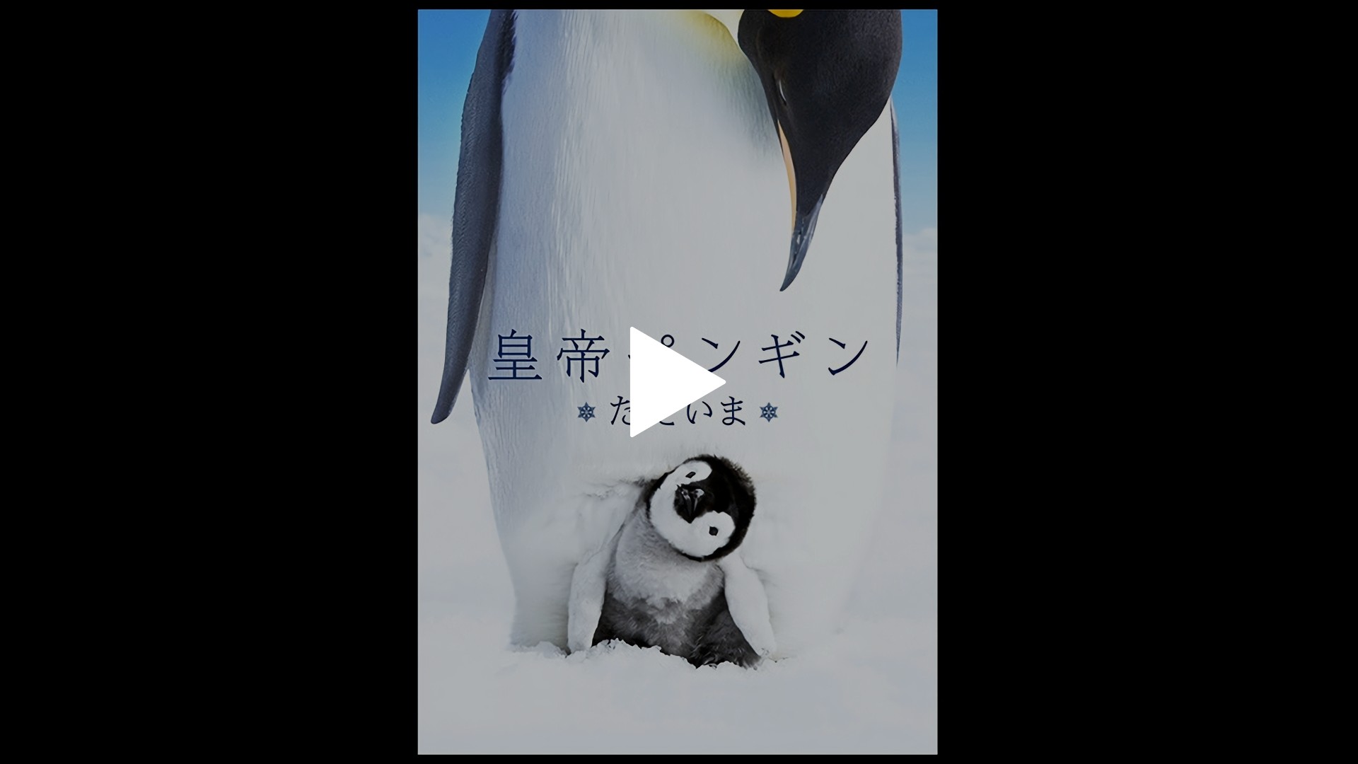 日本語吹替版 皇帝ペンギン ただいま フジテレビの人気ドラマ アニメ Tv番組の動画が見放題 Fod