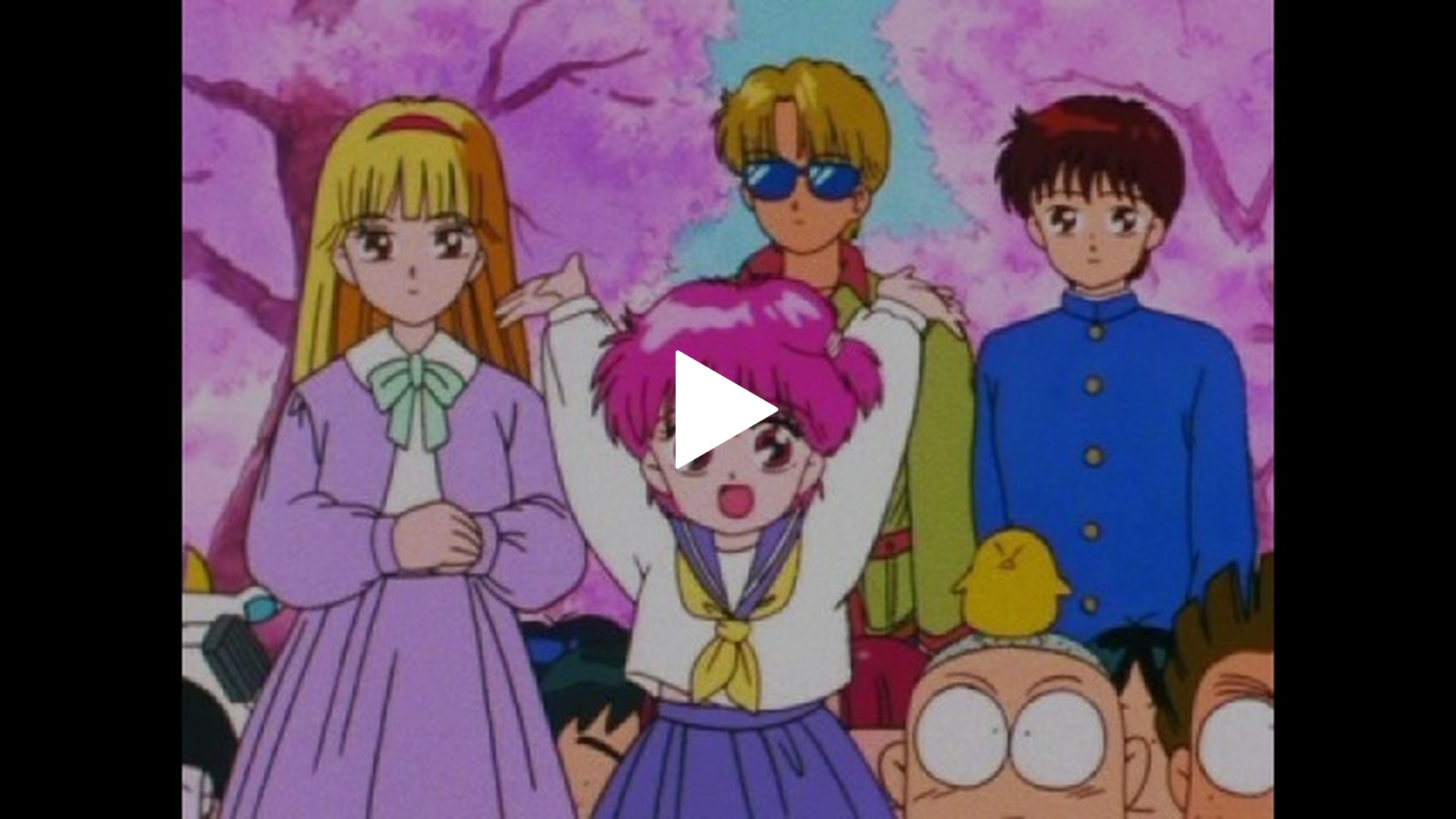 きんぎょ注意報-第12話 お花見は仲良く/葵ちゃんのキスは五百円!?