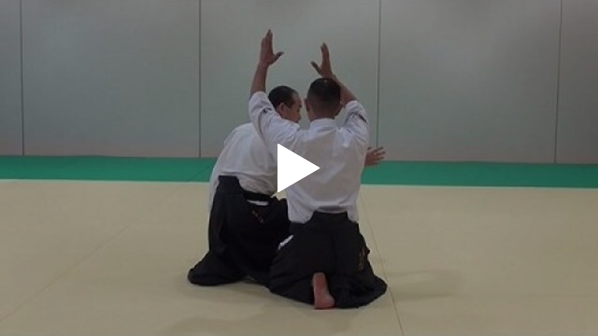 合氣道眞伝会 坐技-正面打ち呼吸投げ