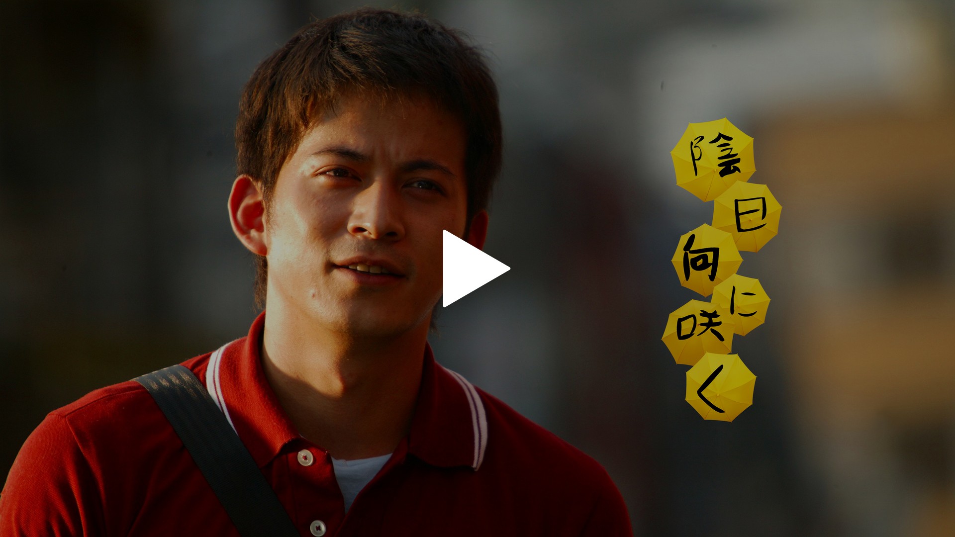 陰日向に咲く-陰日向に咲く